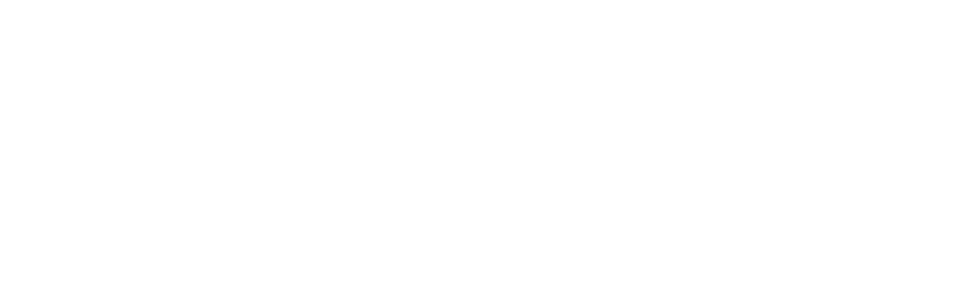 Main Logo for St Mary Basha Catholic School